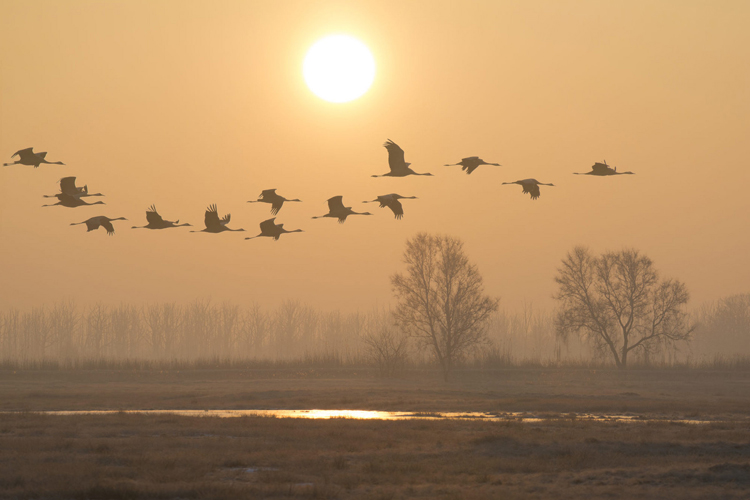 Flickr Artur Rydzewski Thumbnail