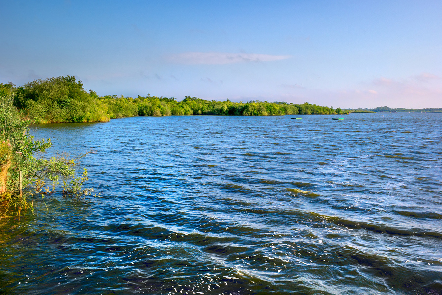 barton broad copyright colin-47