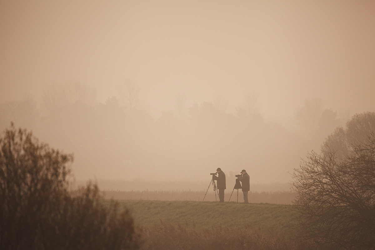 birdwatchers at dusk