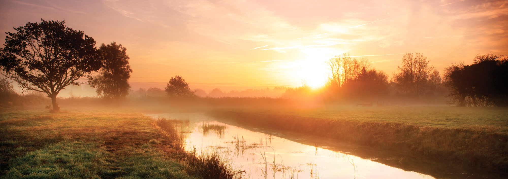 Sunset over a wetland reedbed