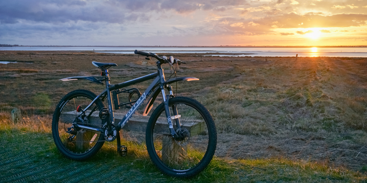 Cycling Breydon Water