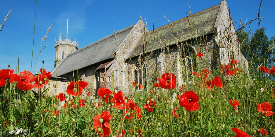 Poppies at St Edmunds Acle © Jeremy Halls