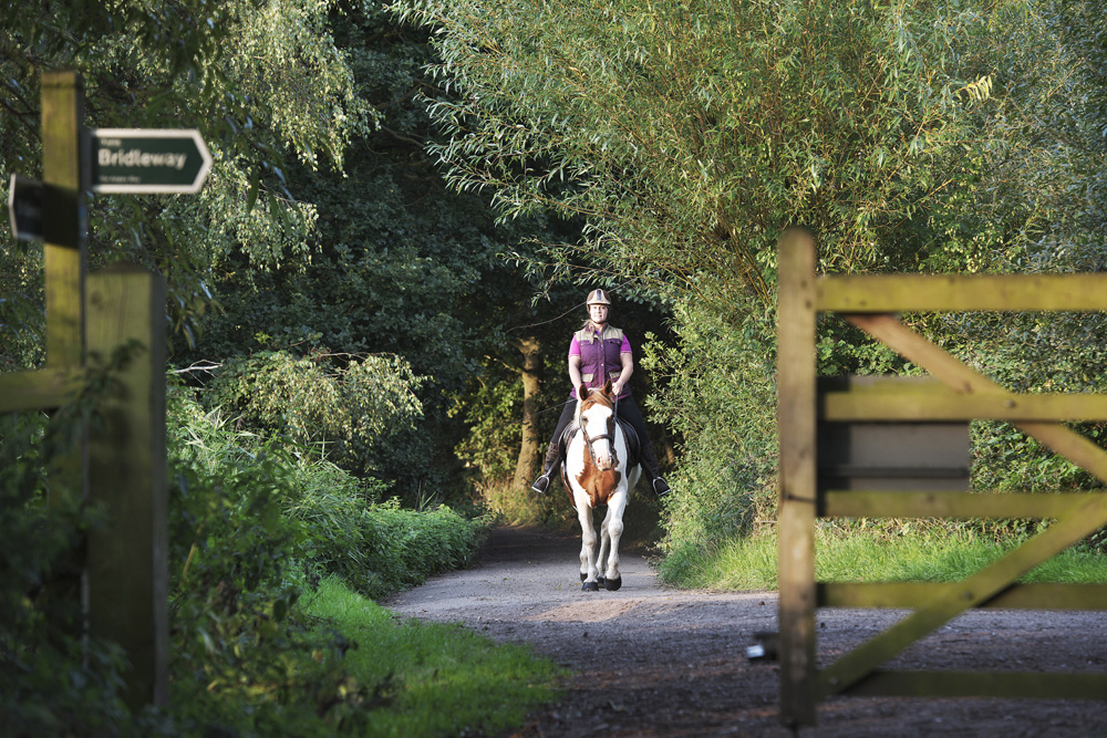 horse riding near beccles © Julian Claxton