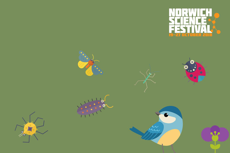 Science festival thumbnail