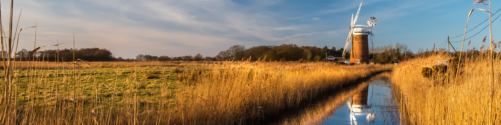 A view over the golden reedbeds of Horsey Mill