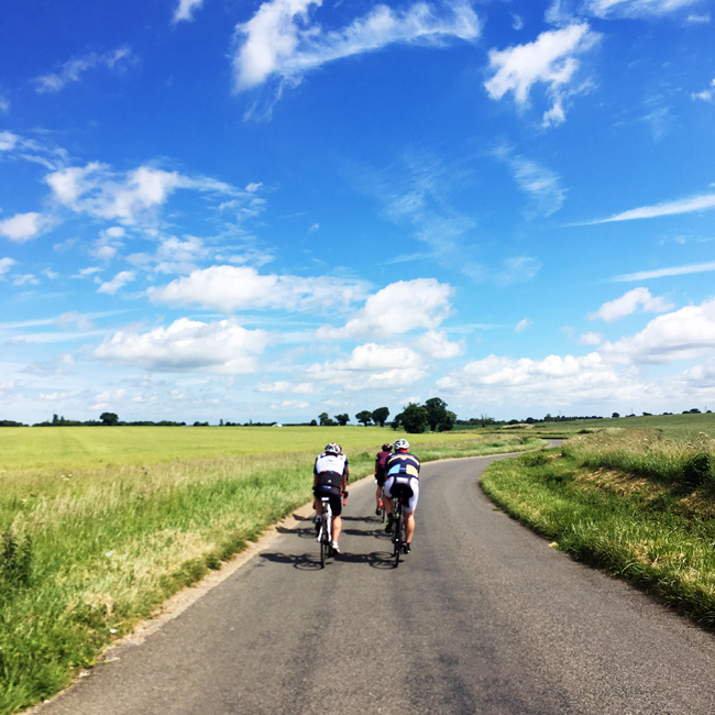 Cycling with the Yorkies