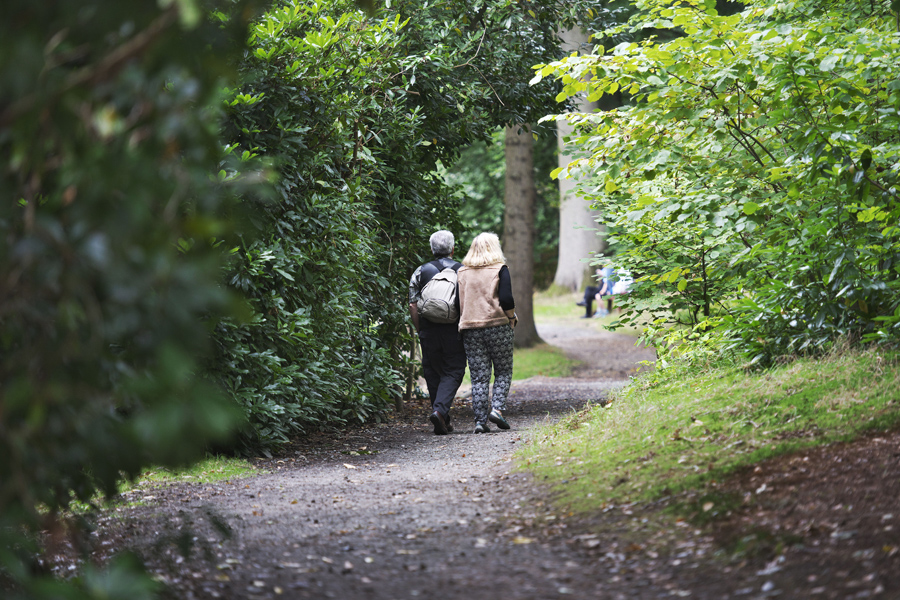 Autumn walk fairhaven