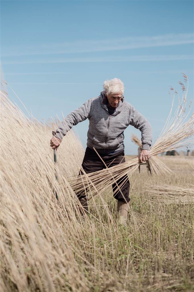 Wally Mason cutting reed