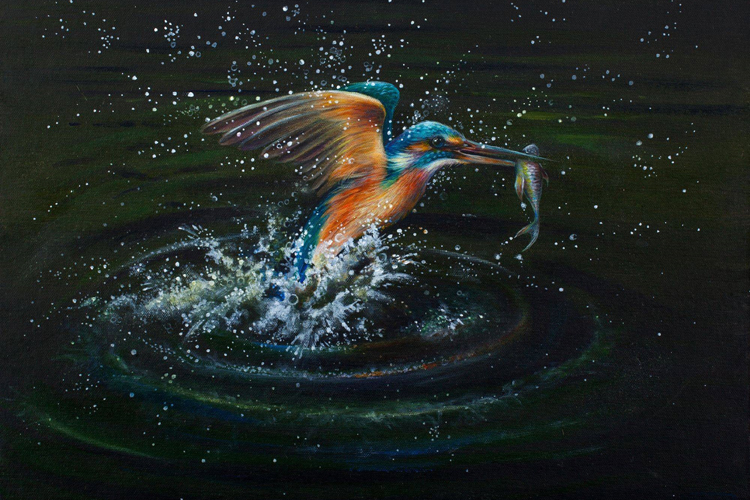 Kingfisher by Lorraine Auton (Studio Art Gallery)