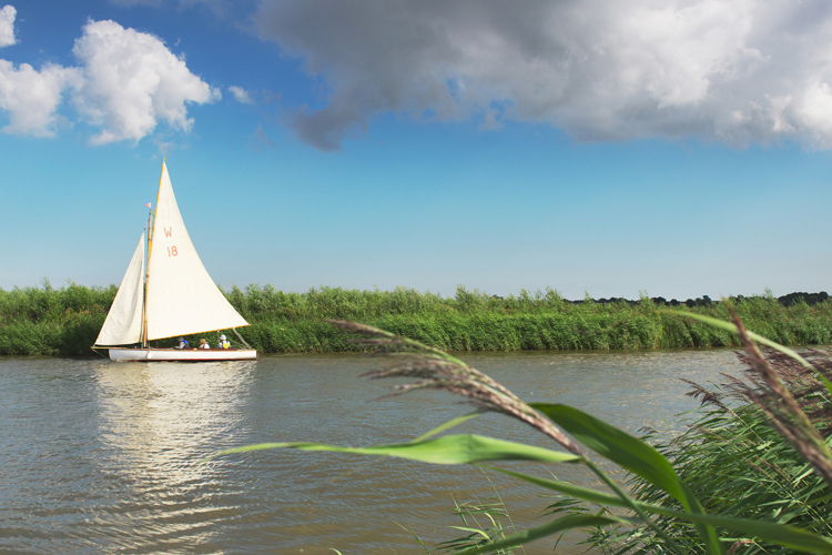 Sailing © Julian Claxton