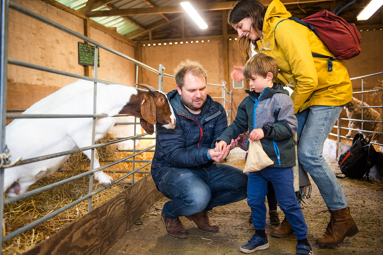 A family with a young boy interacts with a goat inside a barn; the father kneels to help the child feed the goat while the mother, wearing a yellow raincoat, watches closely and smiles.