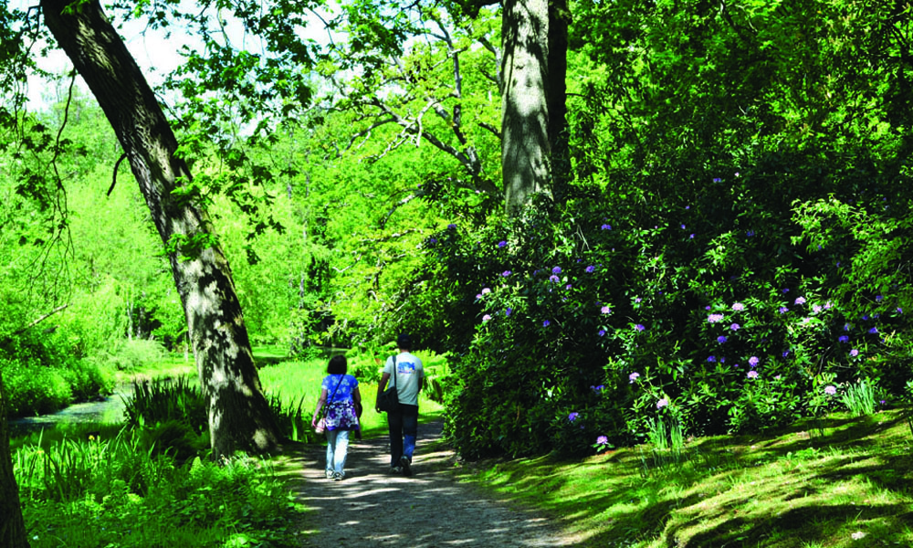 Fairhaven Woodland and Water Garden