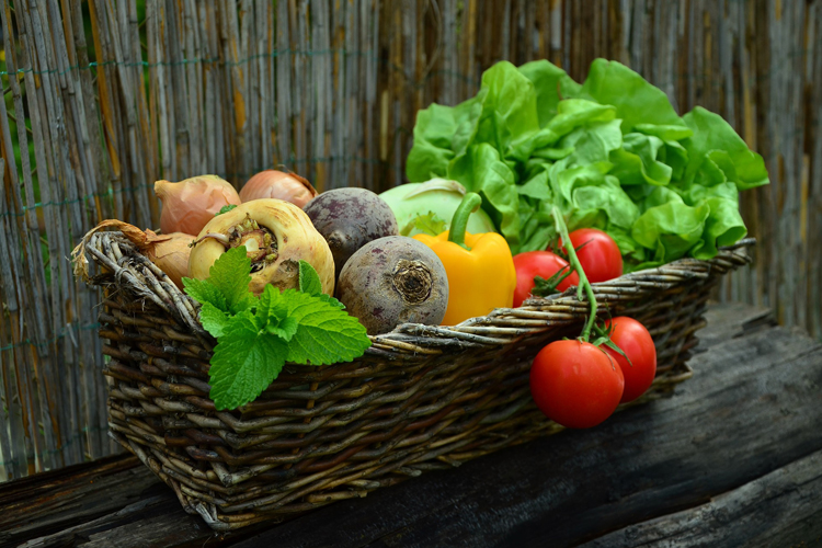 Allotment