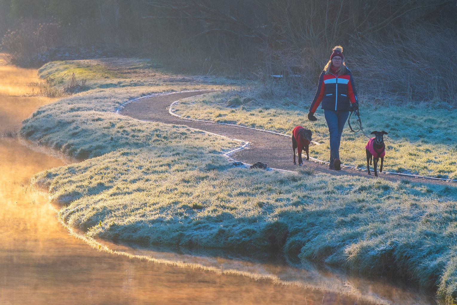 A woman walking two dogs along a frosty riverside path on a misty winter morning.