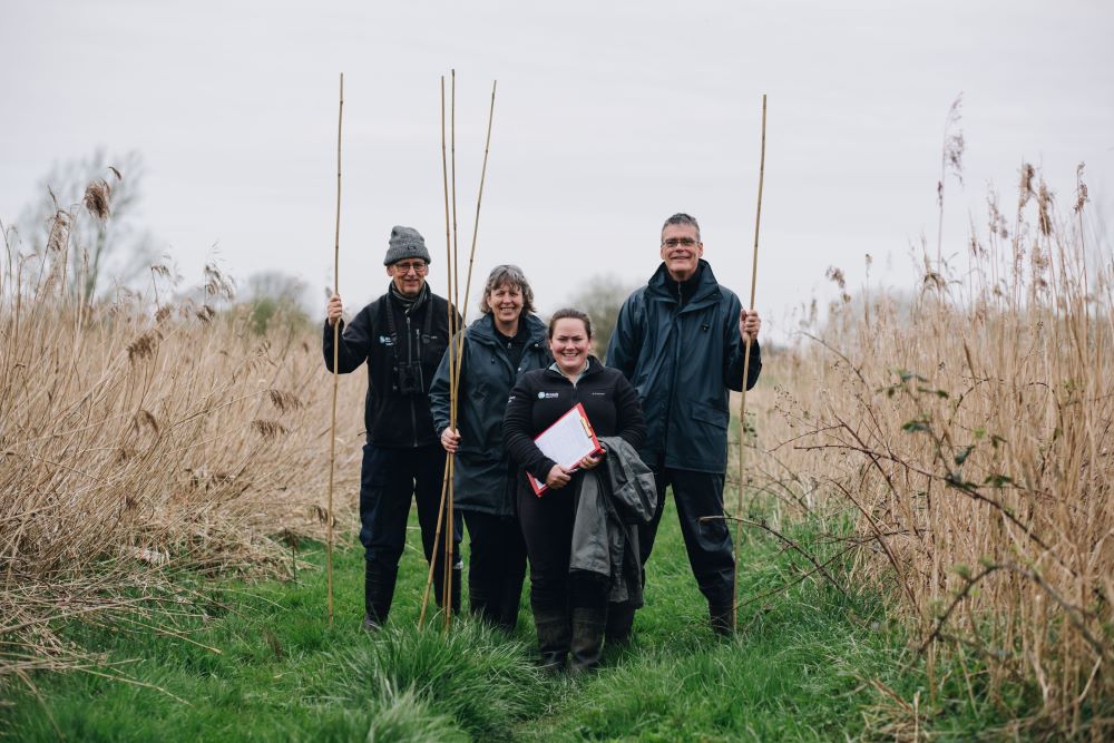 Water vole surveying 2023