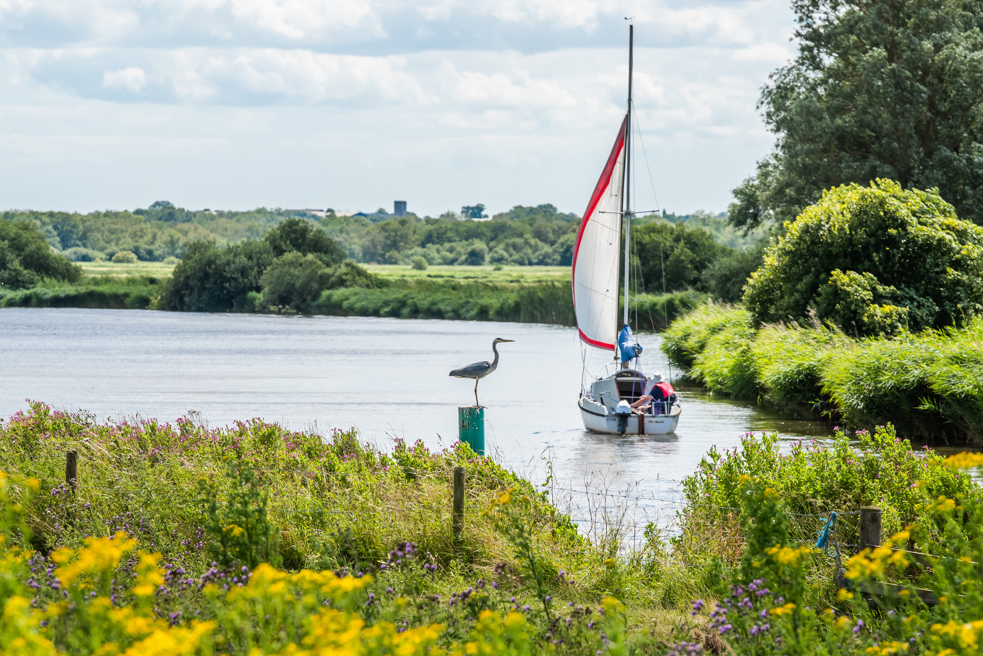 a heron and a sailing vessel on the river on a sunny day near st benet's abbey