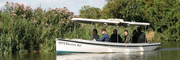Electric Eel Boat Trip