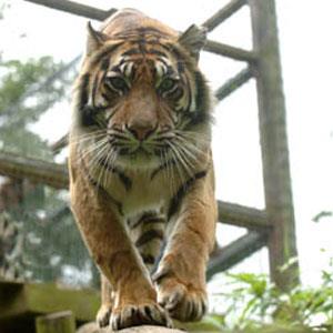 Thrigby Hall Wildlife Gardens Educational Visits