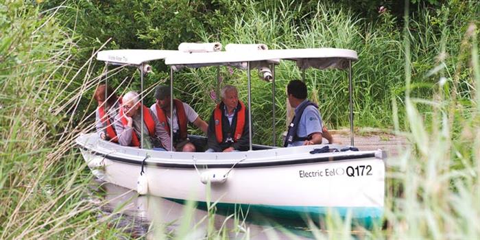 Electric Eel Boat Trip image 3