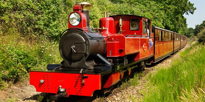 Bure Valley Railway image 2