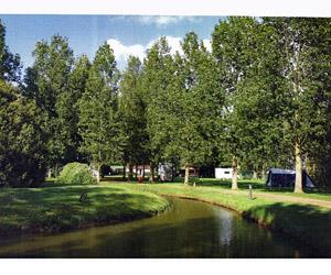Reedham Ferry Touring and  Camping Park image 2
