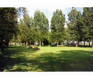 Reedham Ferry Touring and  Camping Park image 3