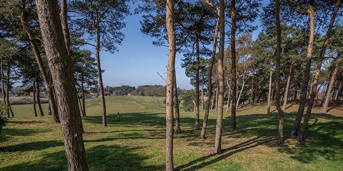 Tingdene Caldecott Hall Country Park – Golf Club image 3