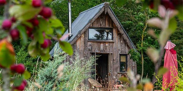 Wardley Hill Camping & Glamping image 2
