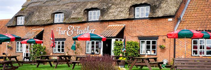 The Fur & Feather Inn