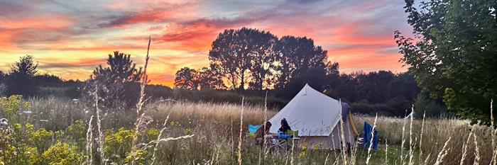 Wardley Hill Camping & Glamping