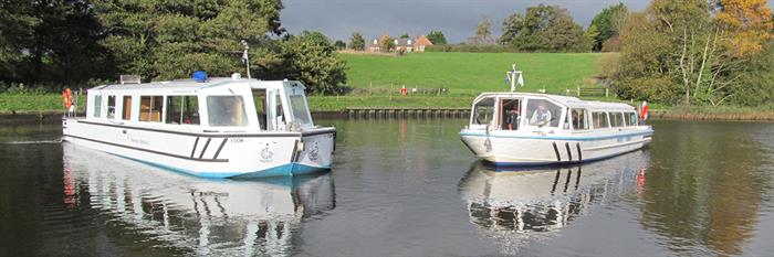 Waveney Stardust