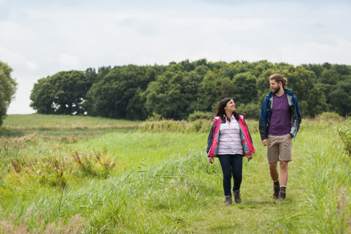 The best walks in the Broads National Park