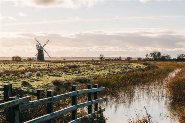 Land of the windmills