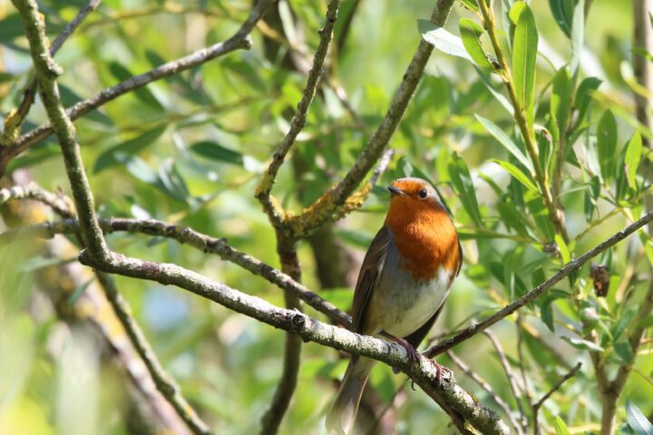 Explore some less frequented nature reserves