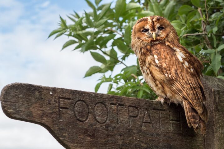 Beat the winter blues in the Broads National Park