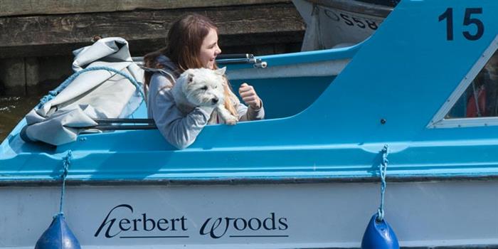 Pet-friendly day boat hire with dog on board