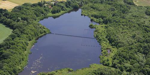 NWT Alderfen Broad