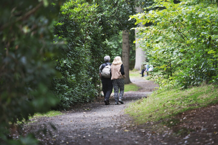 Things to do outside in the Broads this autumn