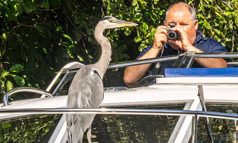A man taking close up photo of a heron who has landed on his cruiser