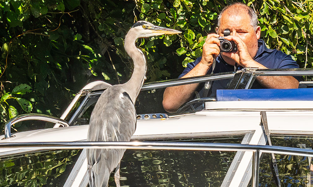 A man taking close up photo of a heron who has landed on his cruiser