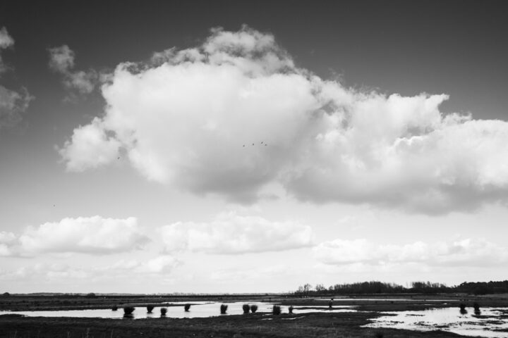 Unwinding in the Broads National Park