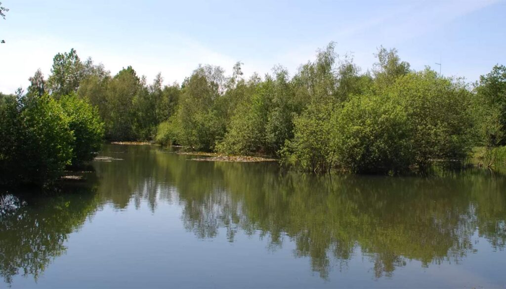 Peaceful lakeside setting at Cobbleacre Touring and Fishing