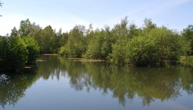 Peaceful lakeside setting at Cobbleacre Touring and Fishing