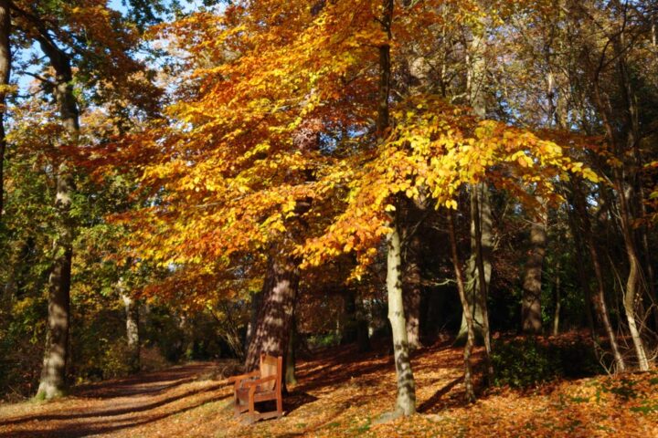 Escape to the Broads this Autumn
