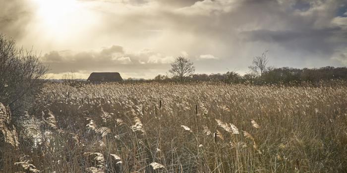 NWT Hickling Broad