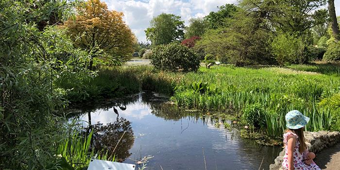 Lake reflections ay Hoveton Hall Gardens