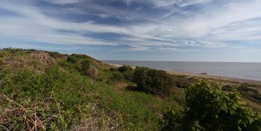 SWT Gunton Warren
