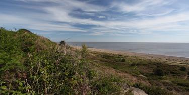 SWT Gunton Warren nature reserve in Suffolk