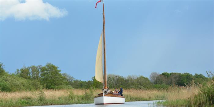 Wherry © Elizabeth Dack