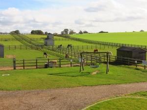 Redwings horse sanctuary